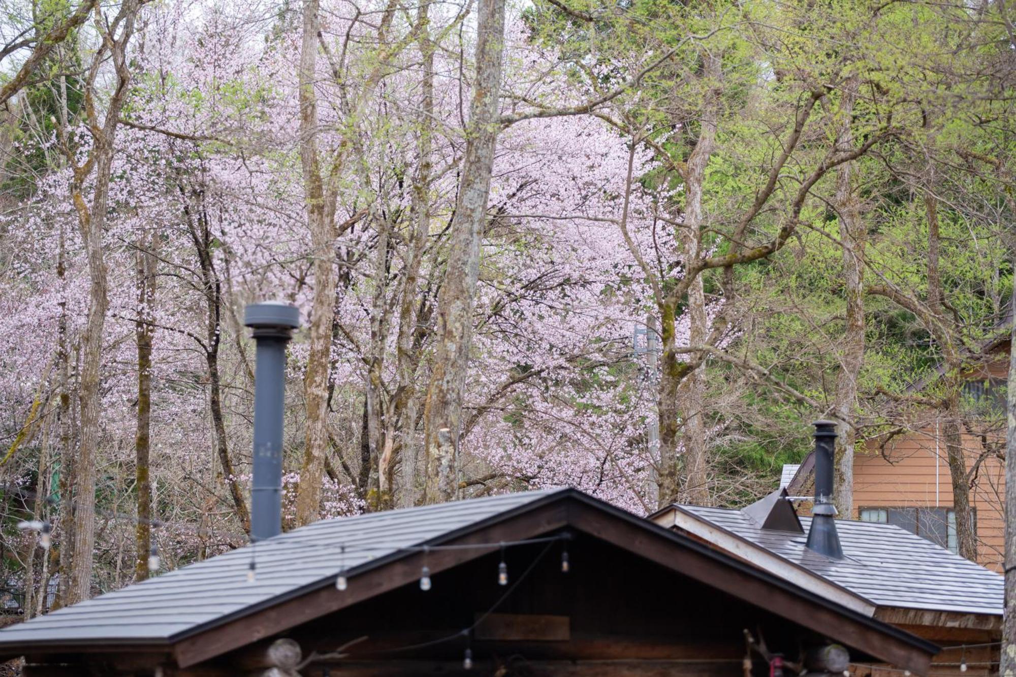 Lamp Nojiriko Shinano (Nagano) Exterior foto